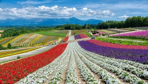 0003356346_006_20230425132701391