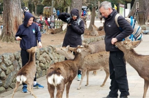 0003356346_007_20230425132701433