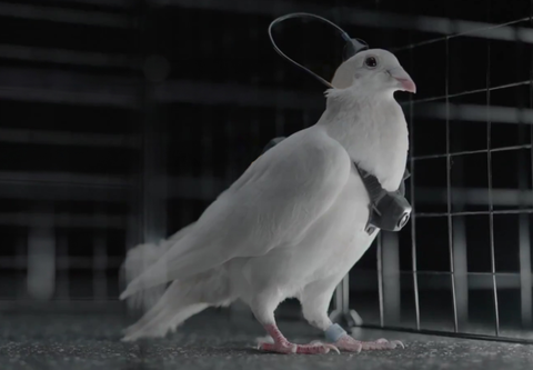 0003374981_001_20251128060113048