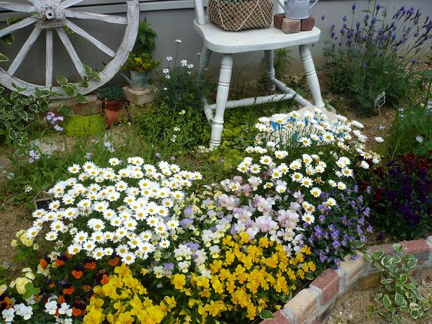 春の花壇 Dog S Garden 春の花壇 Dog S Garden