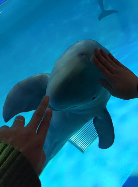 12366465_793340397458179_1067309208836270938_n