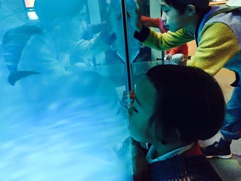 1919004_793340437458175_8957197741231109427_n