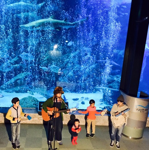 12391875_793340264124859_1338018621158628408_n