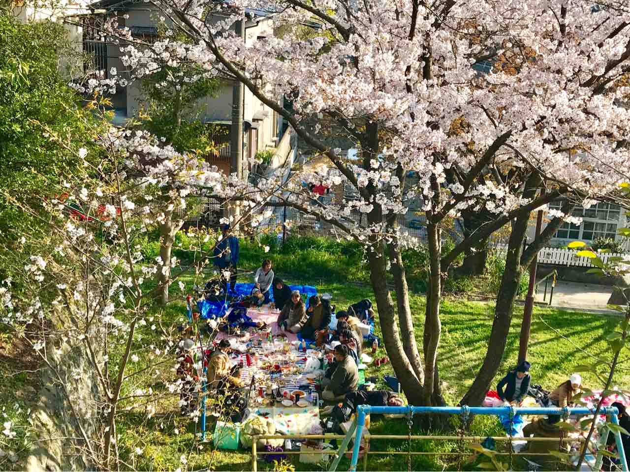 お花見 ボギーの悪趣味音楽作法