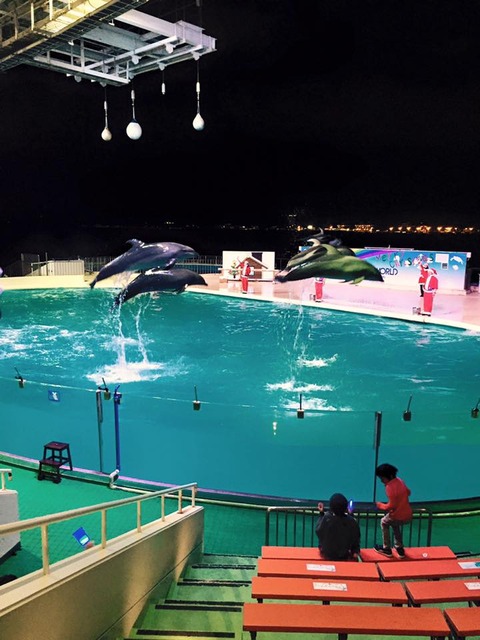 12346412_793340344124851_7247507224281684389_n