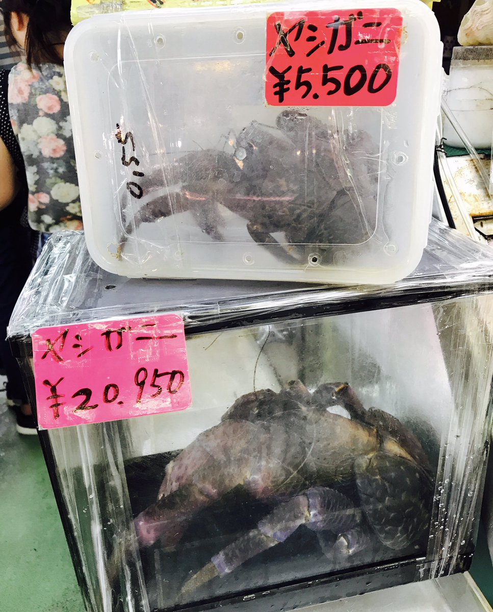 ボギーはじめての沖縄ツアー レポ2日目 ボギーの悪趣味音楽作法 ボギーはじめての沖縄ツアー レポ2日目 ボギーの悪趣味音楽作法