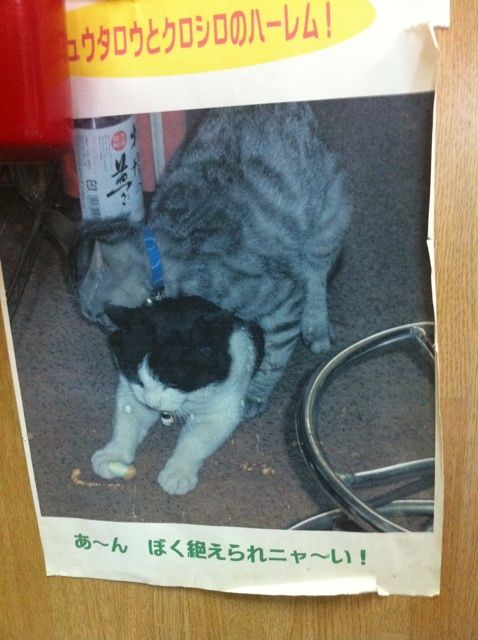 BzVVw