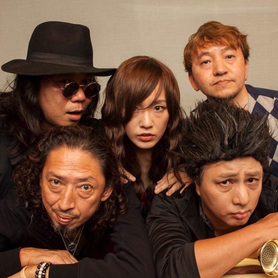 ハイコレ146 暗闇でダンスパーティー ボギーの悪趣味音楽作法 ハイコレ146 暗闇でダンスパーティー ボギーの悪趣味音楽作法