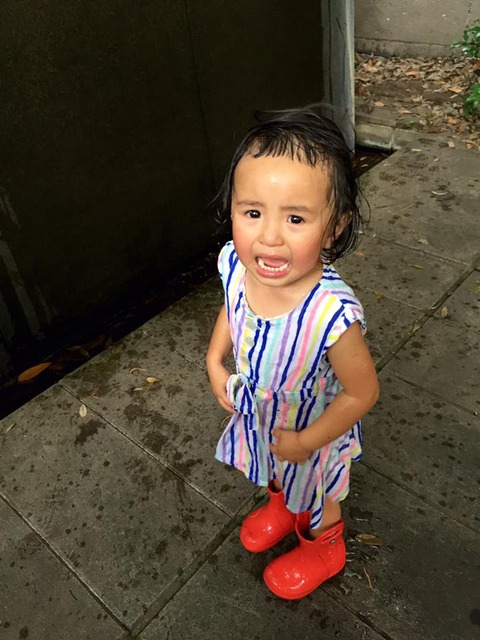 13450892_901080820017469_7223746203210255624_n