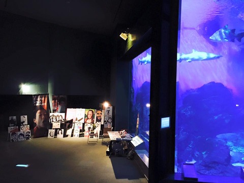 10592966_793340160791536_4054714329060041705_n