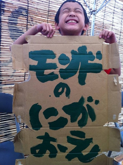 1235332_384073305051559_1570122376_n