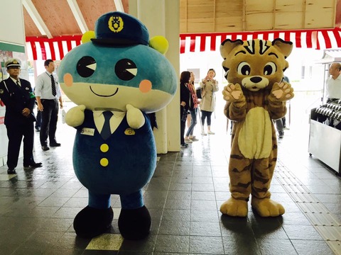 14657350_998494033609480_3428233404260676316_n