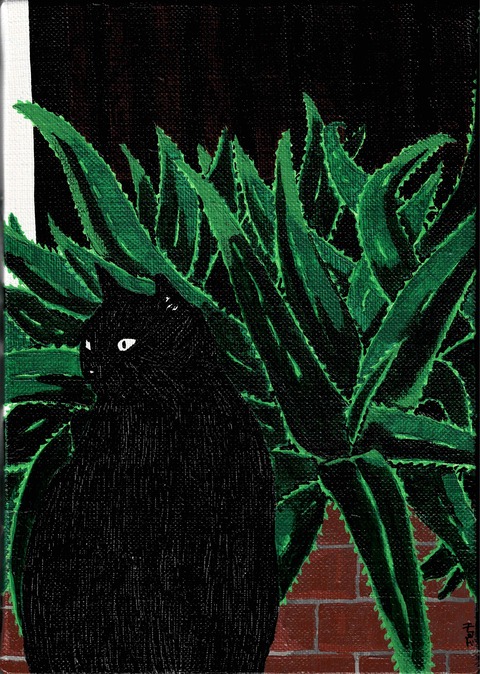 アロエと黒猫