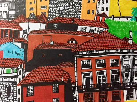 19437437_1255369861255228_5349478306026574647_n