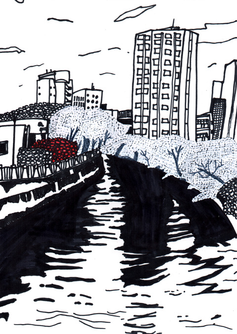 お花見（薬院新川）