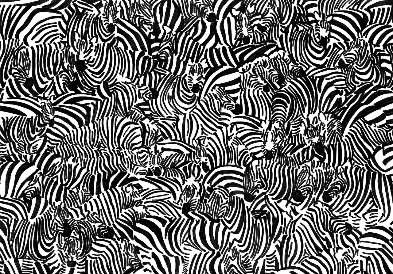 モンド今日の絵 21 1 シマウマの群れ モンド今日の絵