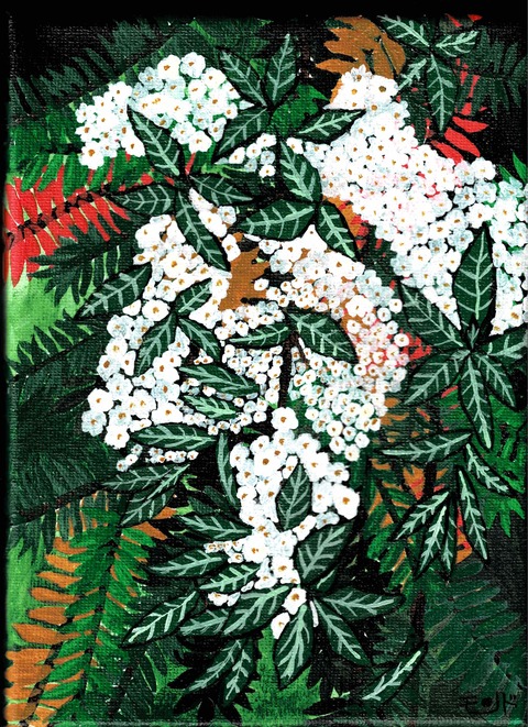 蒼いシダと白い花