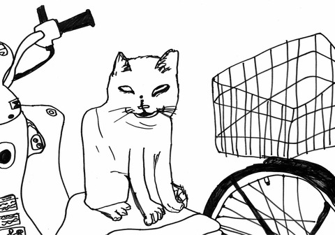 もんちゅう(天)