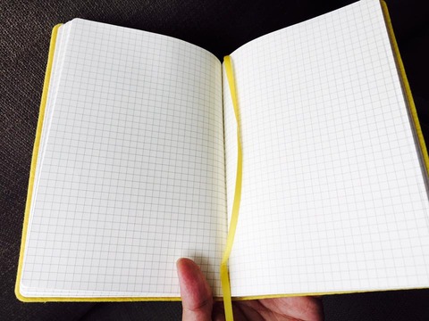 13239393_883150018477216_657832636961947763_n