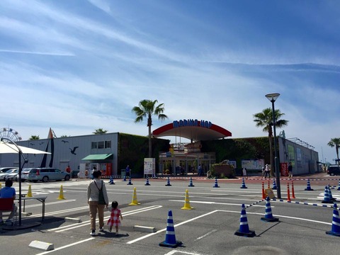 11059166_698967260228827_7046704424791358772_n