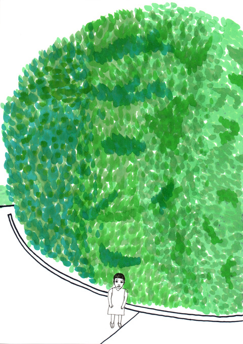 夏の緑