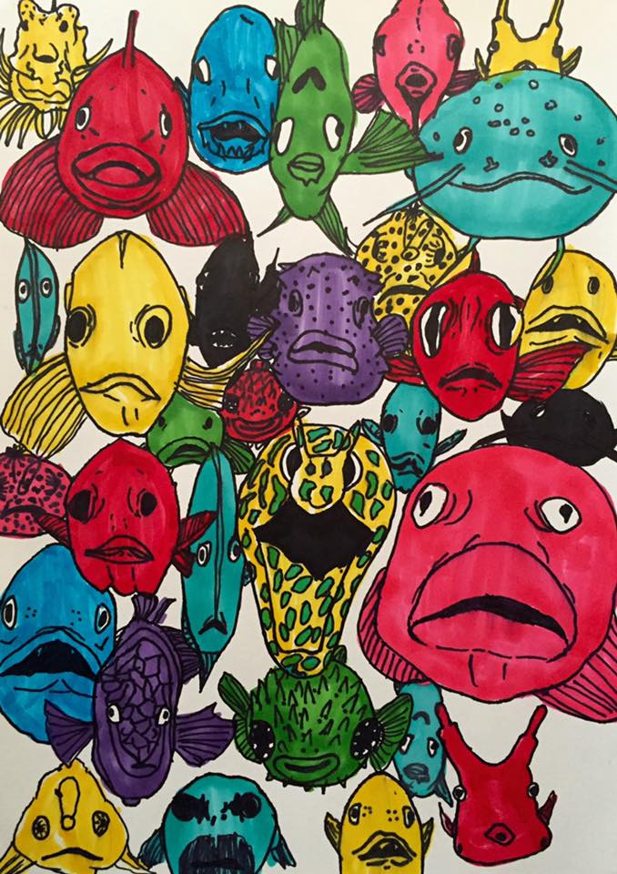 魚の正面顔 モンド今日の絵
