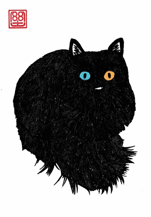 長い毛の黒猫
