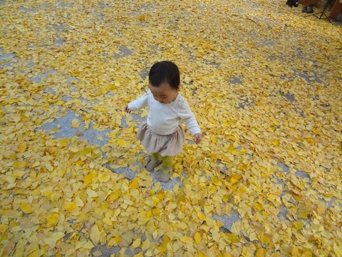 DSC05938 のコピー