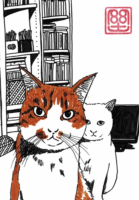 狙う猫