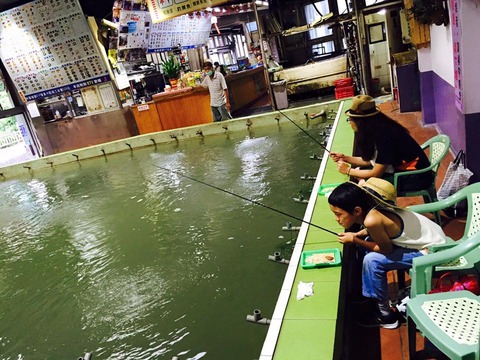 11227761_754865481305671_7551693145996077157_n