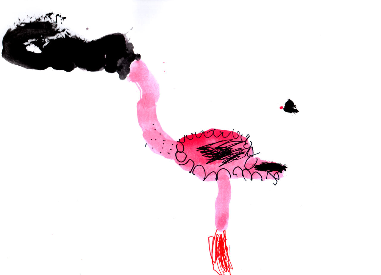 今ちゃんが描いたフラミンゴ モンド今日の絵 今ちゃんが描いたフラミンゴ モンド今日の絵