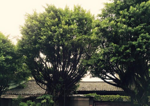 11057983_731196163672603_6678217710839497515_n