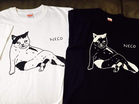 19260356_1254334181358796_5307558133034623826_n