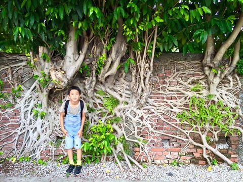 11745373_728070917318461_343679802347350090_n