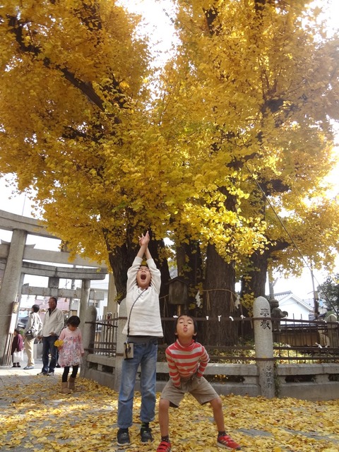 DSC05901 のコピー