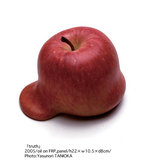 ame06_2005