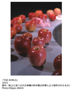 ame09_2005