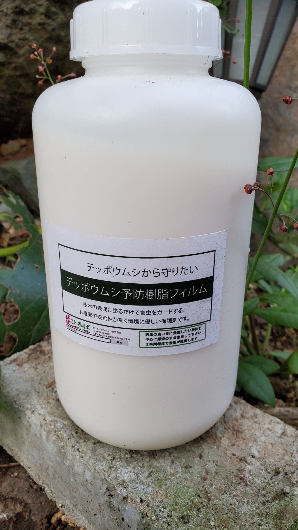 紅葉にテッポウムシ予防樹脂フィルムを使ってみた 庭池日記 紅葉にテッポウムシ予防樹脂フィルムを使ってみた 庭池日記