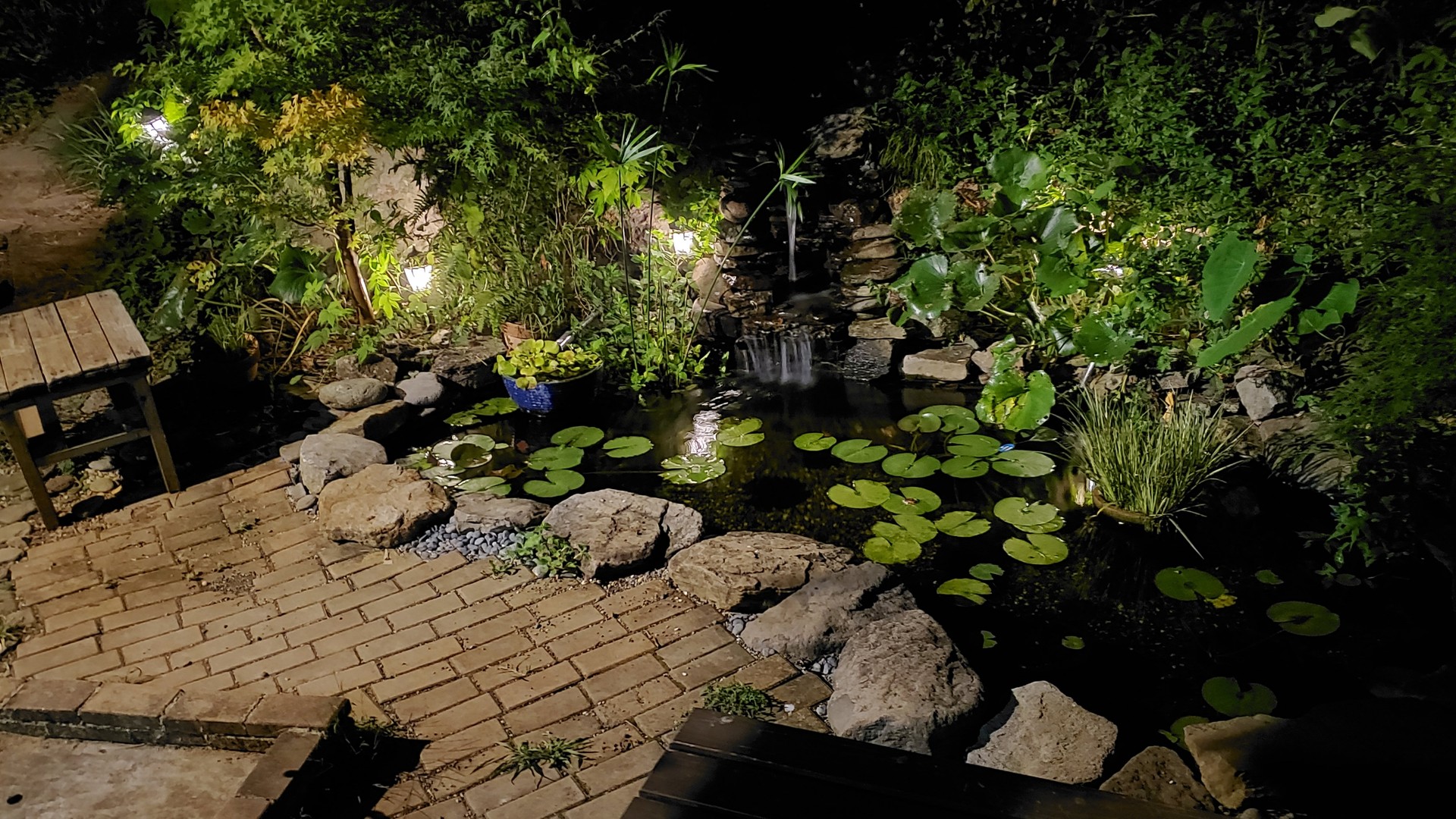 池のライトアップ 夜のビオトープ 庭池日記