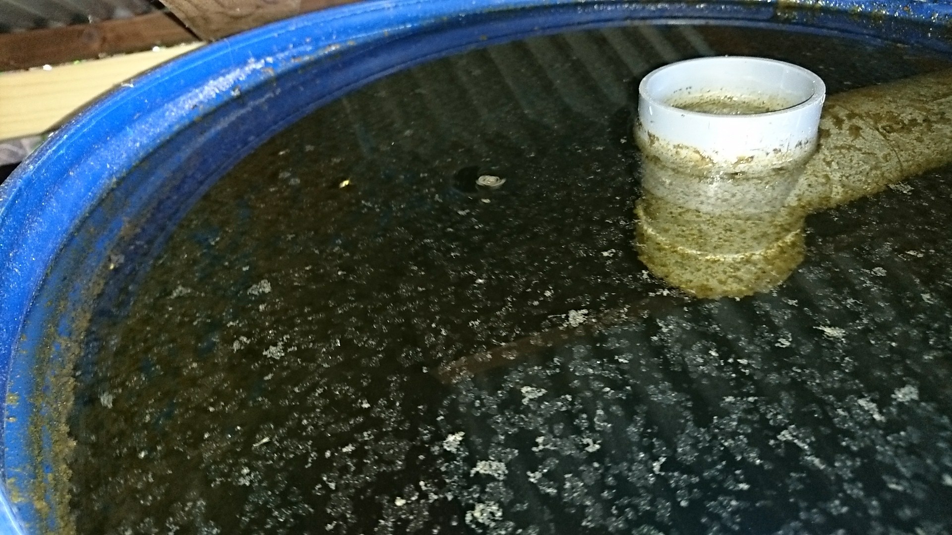 濾過槽の掃除と問題点 庭池日記 濾過槽の掃除と問題点 庭池日記