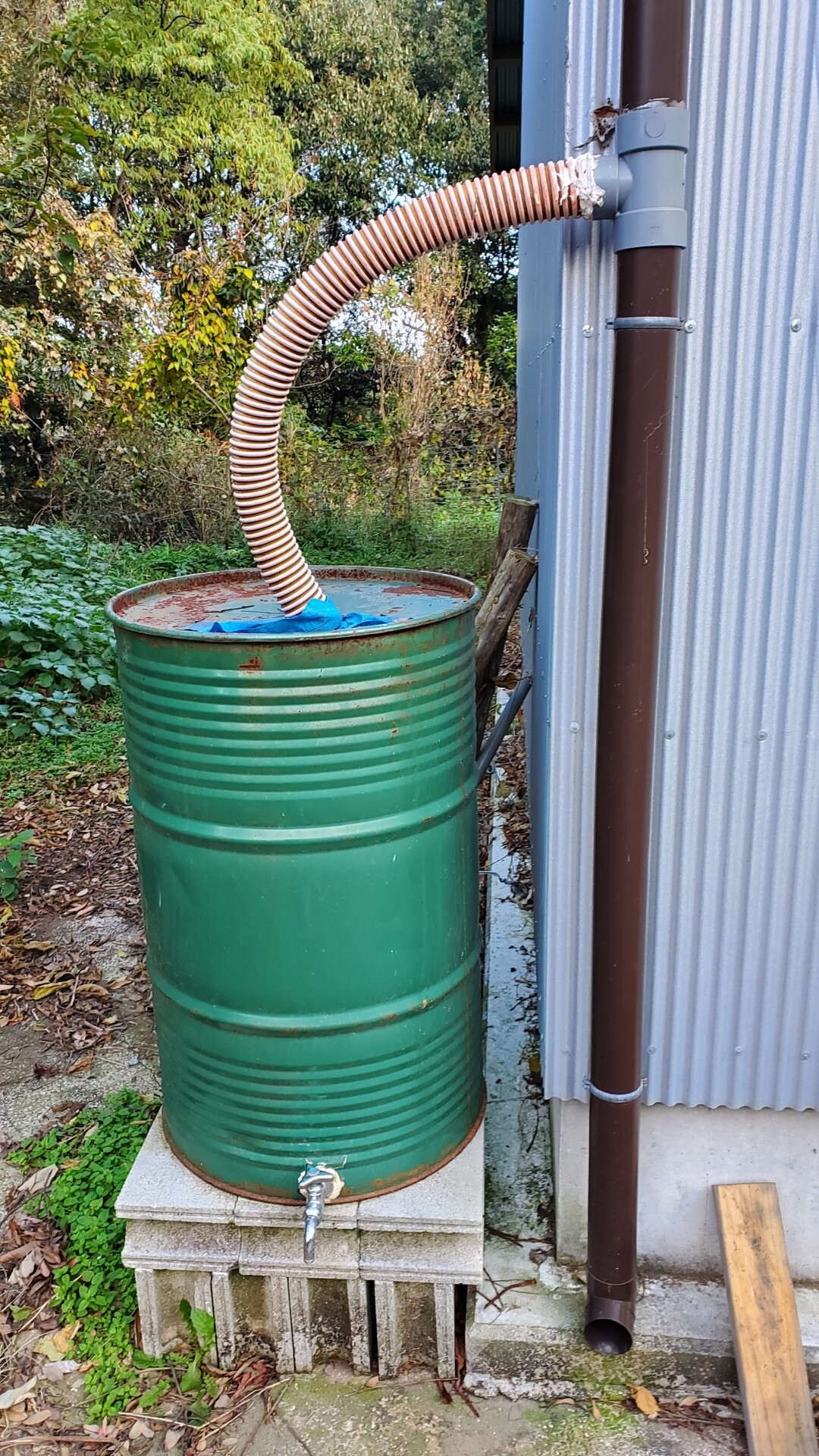 自作雨水タンクがムカデで詰まりました 庭池日記