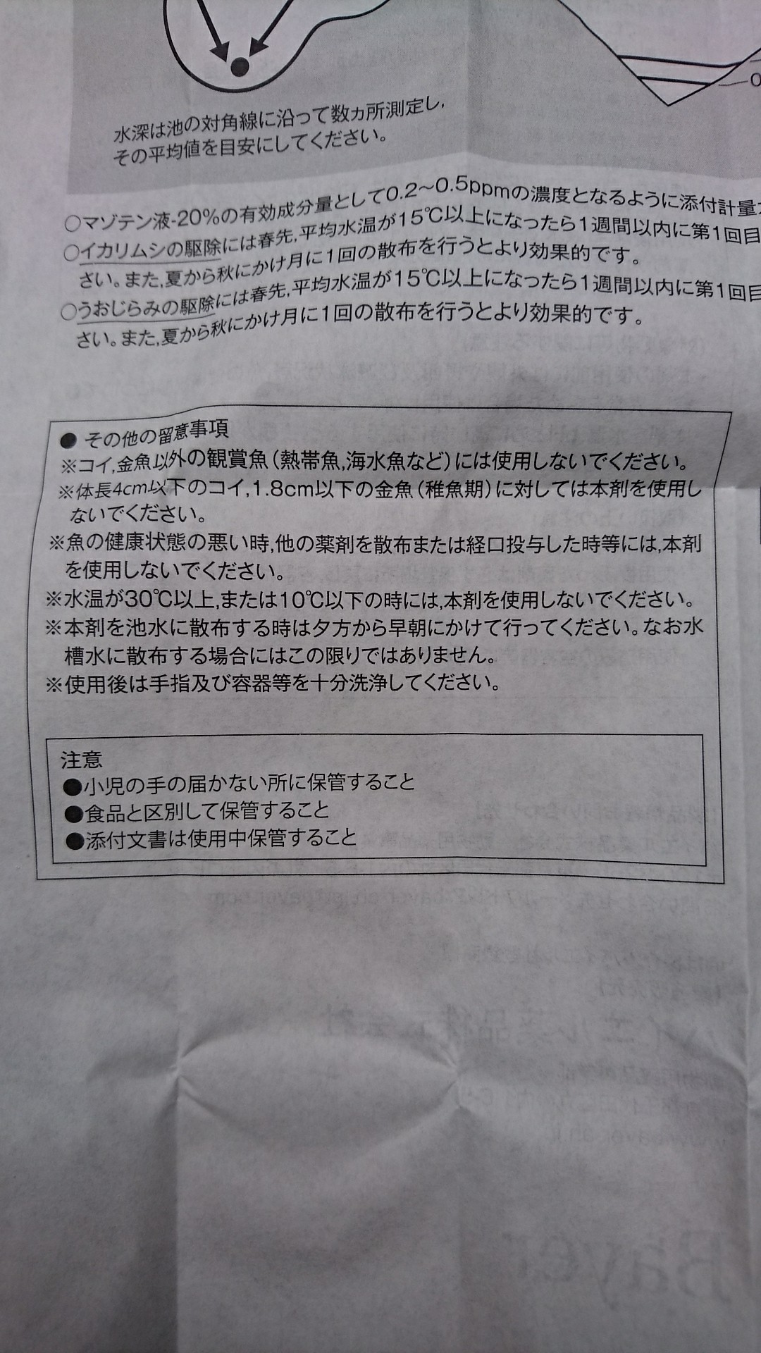 イカリムシの駆除をします 庭池日記