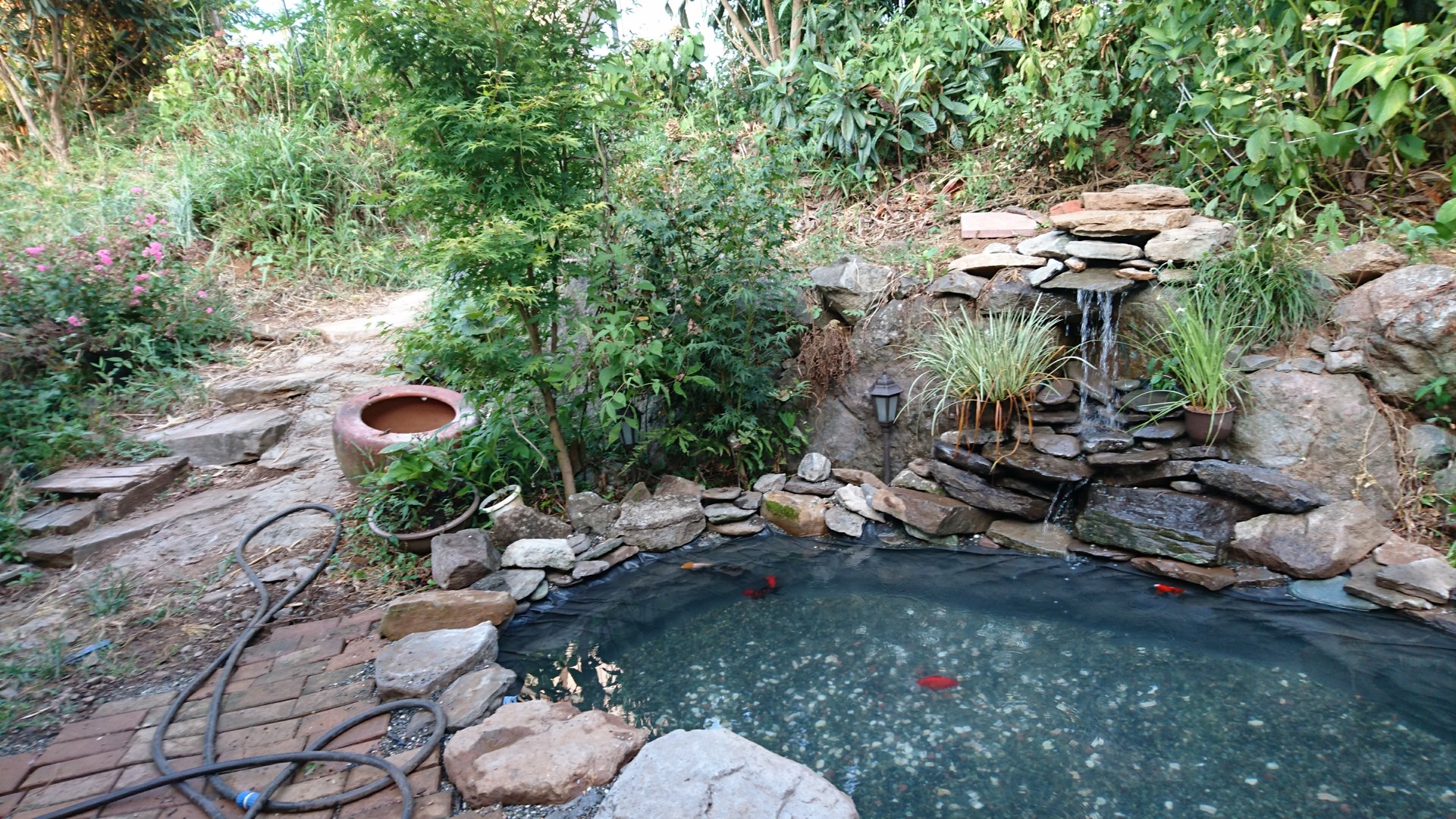 Diyで作った池の変遷1 庭池日記 Diyで作った池の変遷1 庭池日記