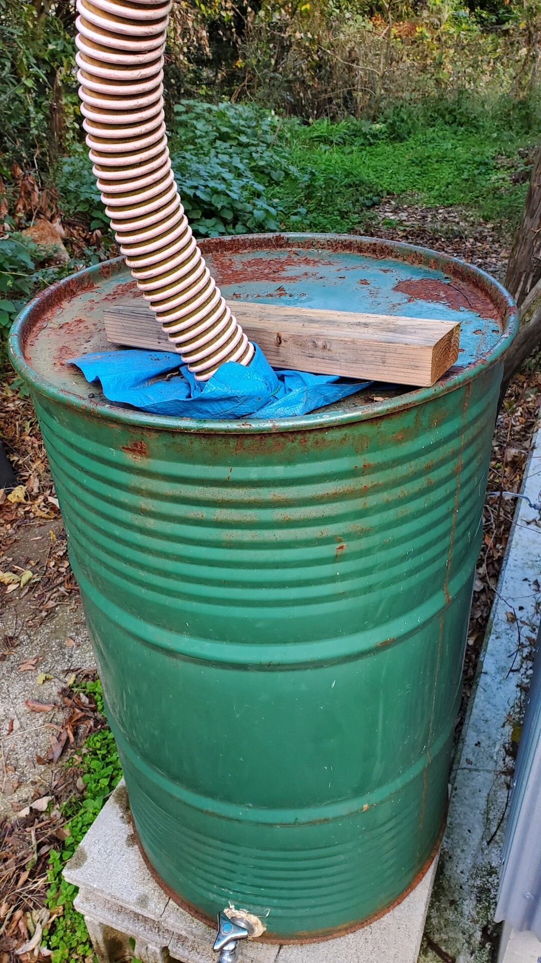 自作雨水タンクがムカデで詰まりました 庭池日記
