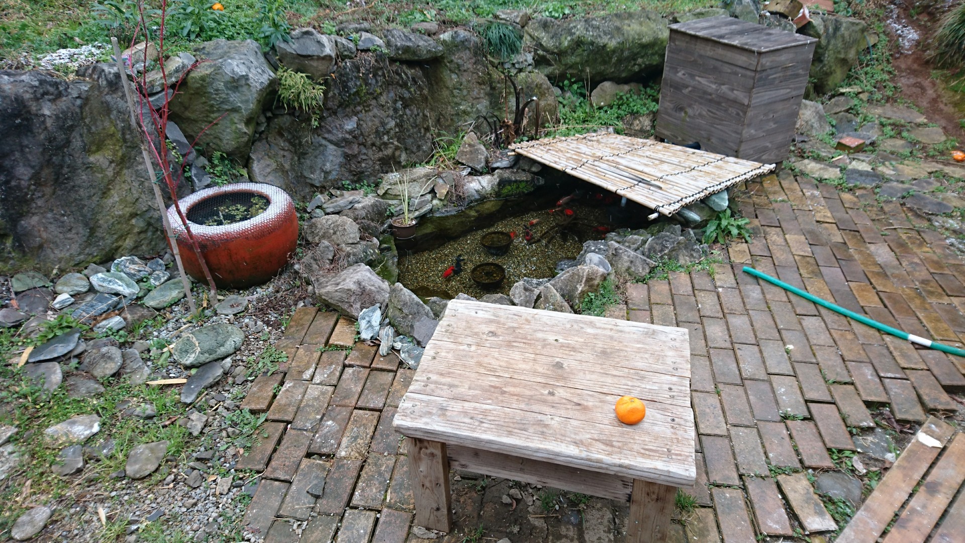 Diyで作った池の変遷1 庭池日記