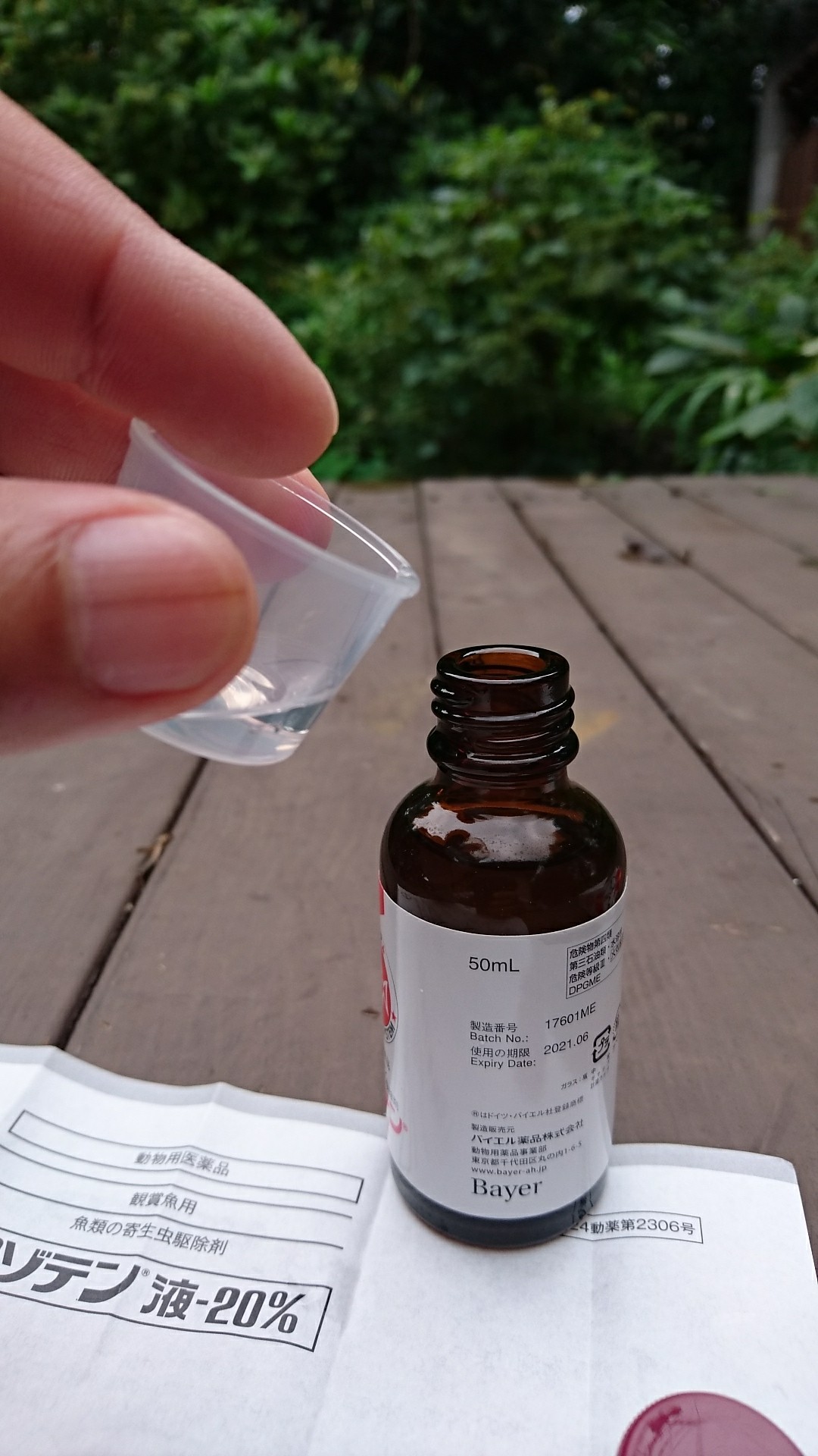 投薬後1ヶ月。イカリムシ駆除薬マゾテンの濾過槽と植物への影響は 