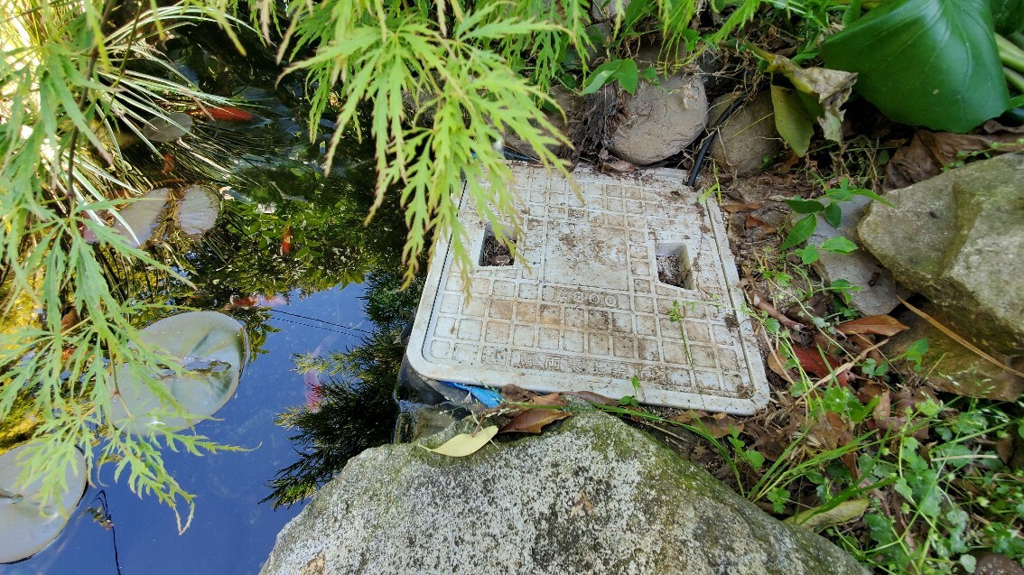 庭池のろ過槽とポンプ掃除 庭池日記 庭池のろ過槽とポンプ掃除 庭池日記