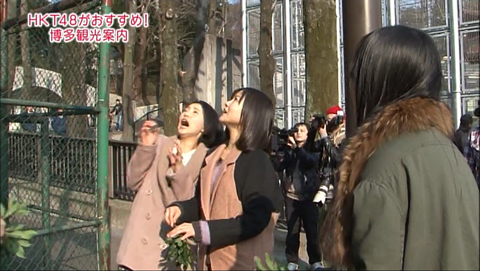kankou08