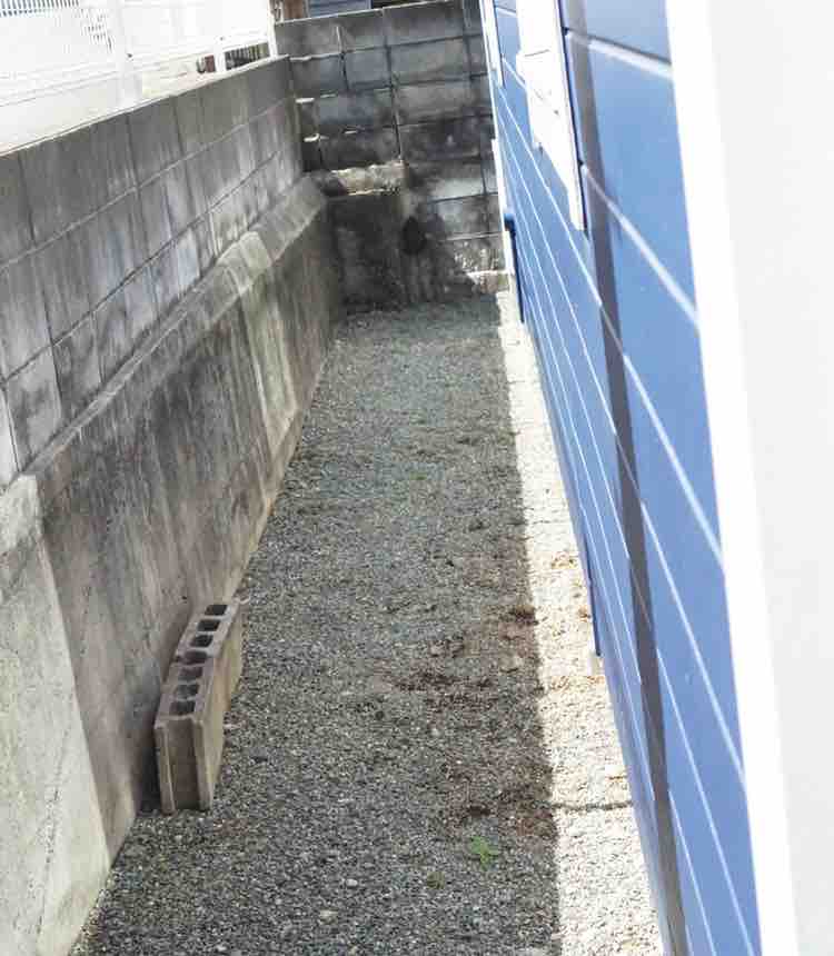 犬走り レンガ敷きdiy 母の前に人として成長したいブログ