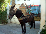tunisia4-7